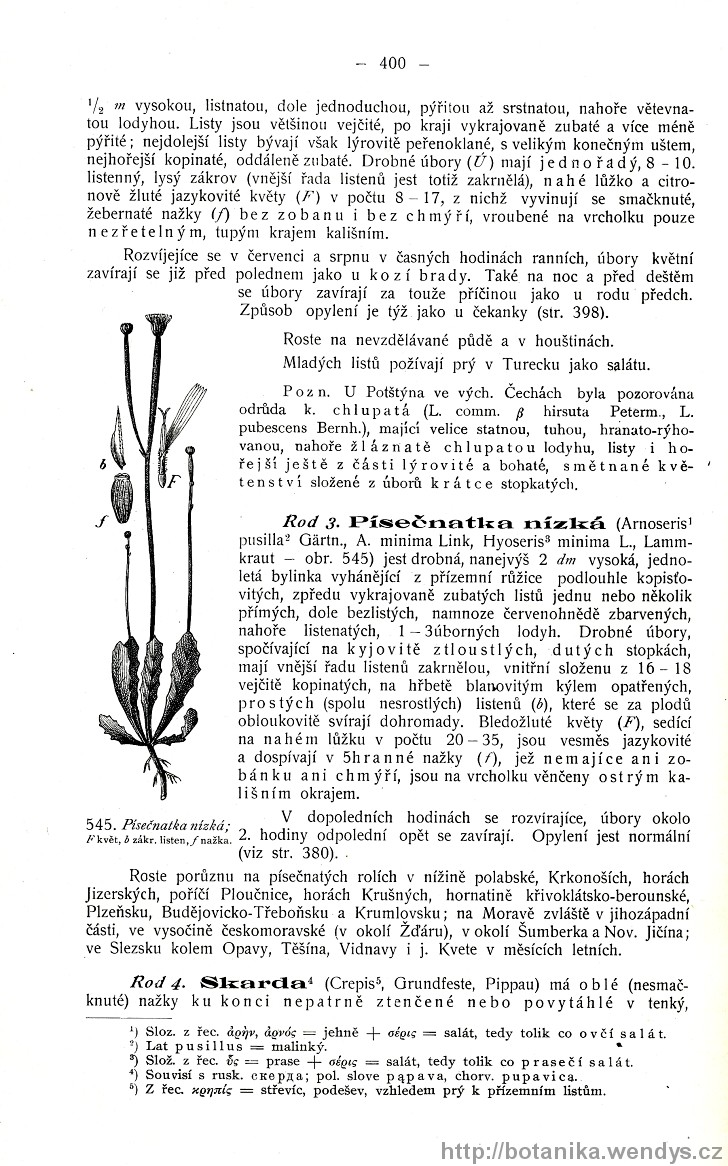 Názorná květena zemí koruny české, svazek 3, strana 400