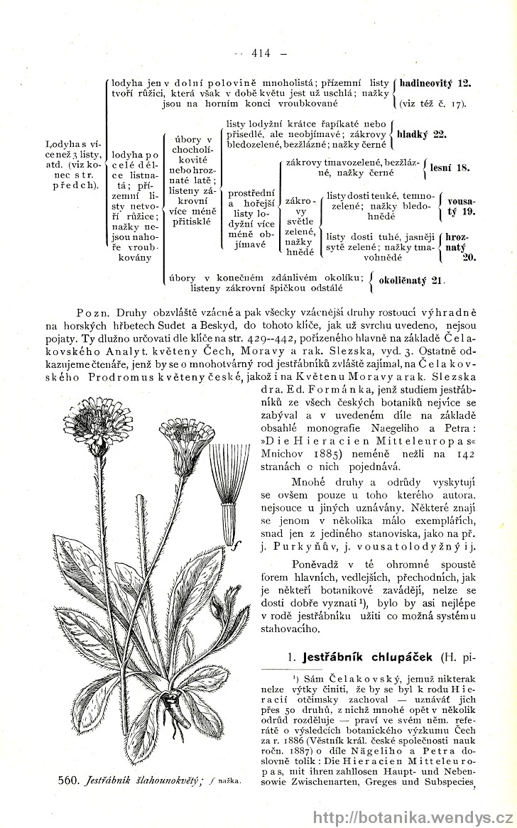 Názorná květena zemí koruny české, svazek 3, strana 414