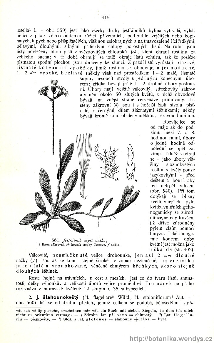 Názorná květena zemí koruny české, svazek 3, strana 415