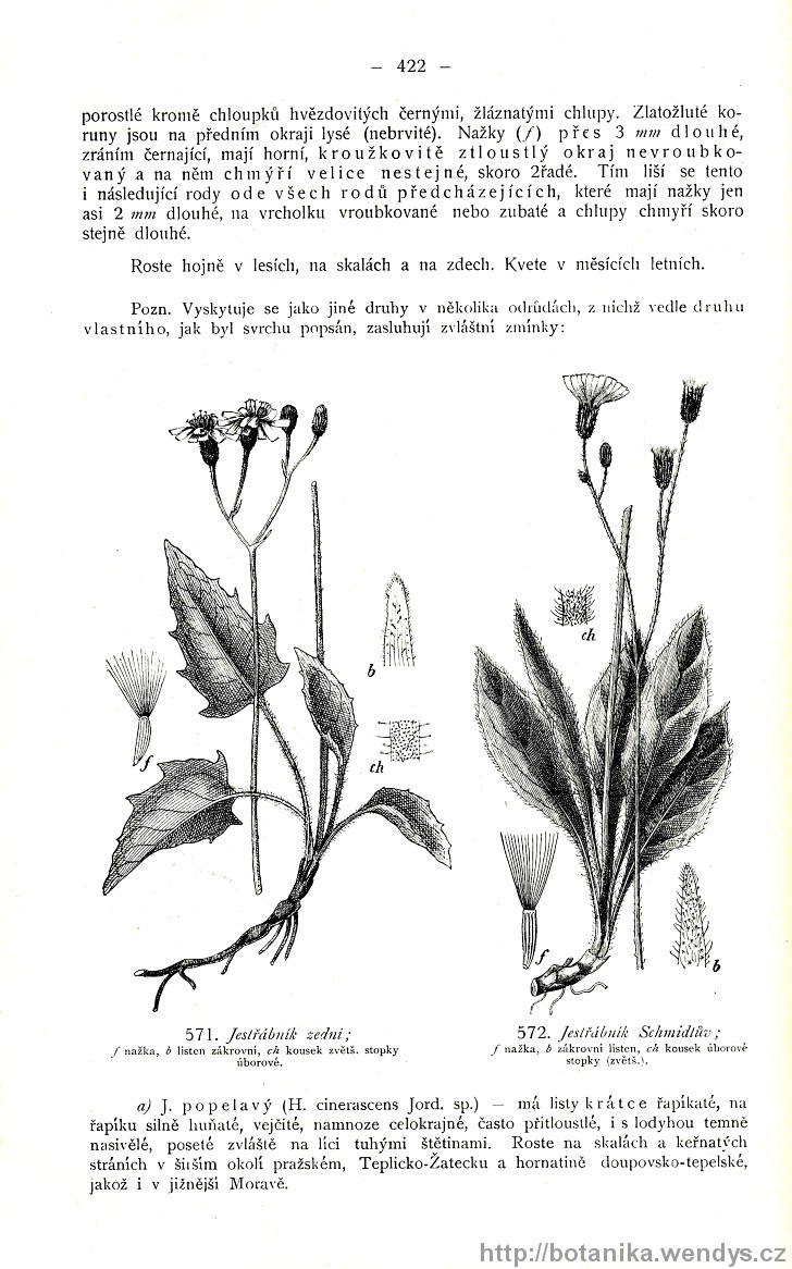 Názorná květena zemí koruny české, svazek 3, strana 422