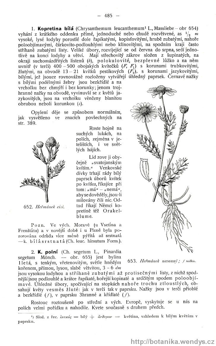Názorná květena zemí koruny české, svazek 3, strana 485