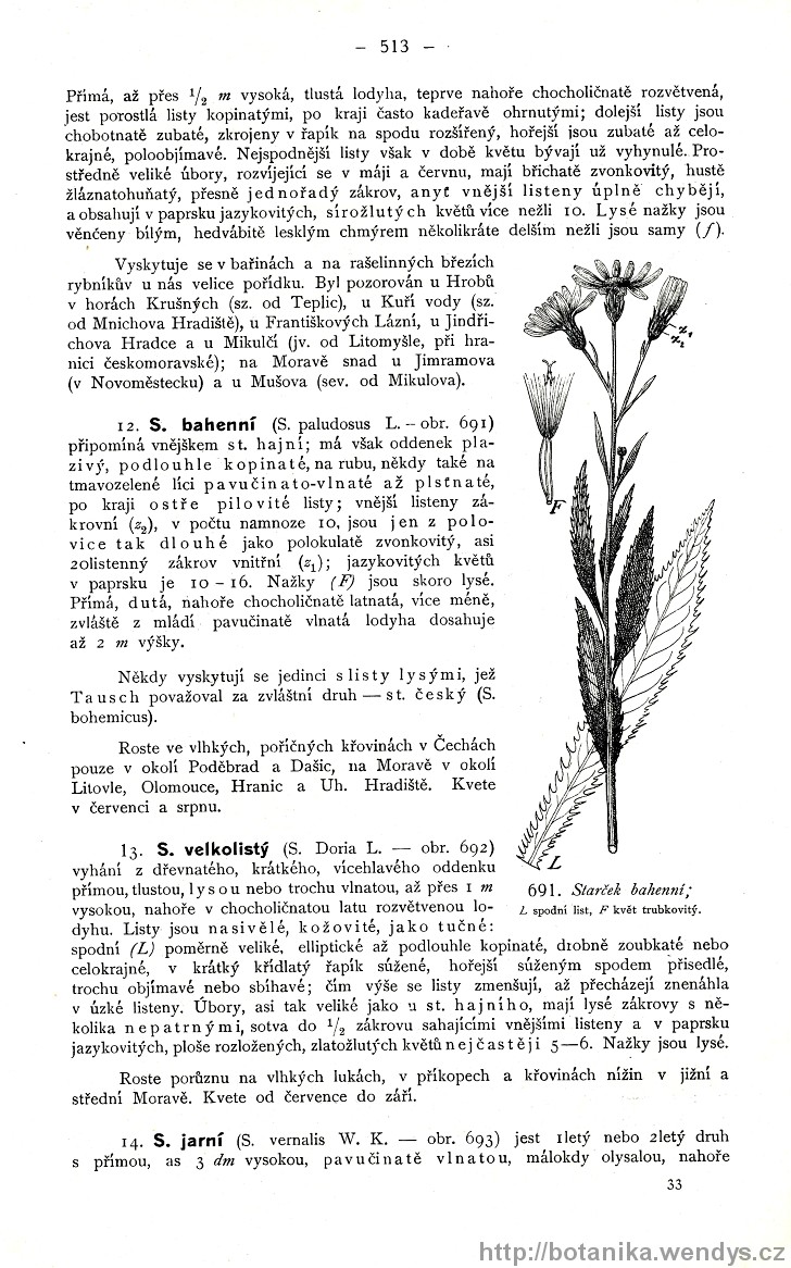 Názorná květena zemí koruny české, svazek 3, strana 513