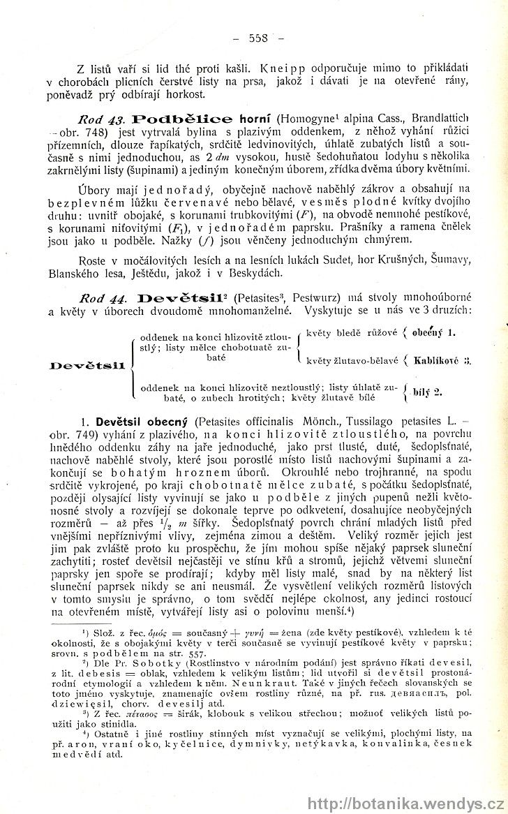 Názorná květena zemí koruny české, svazek 3, strana 558