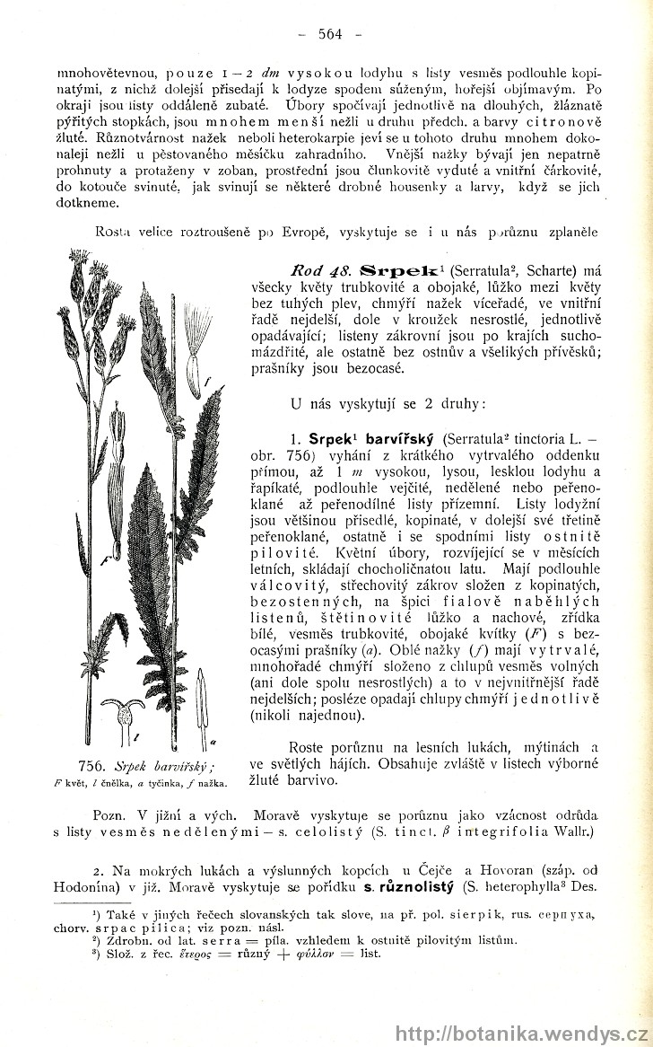 Názorná květena zemí koruny české, svazek 3, strana 564