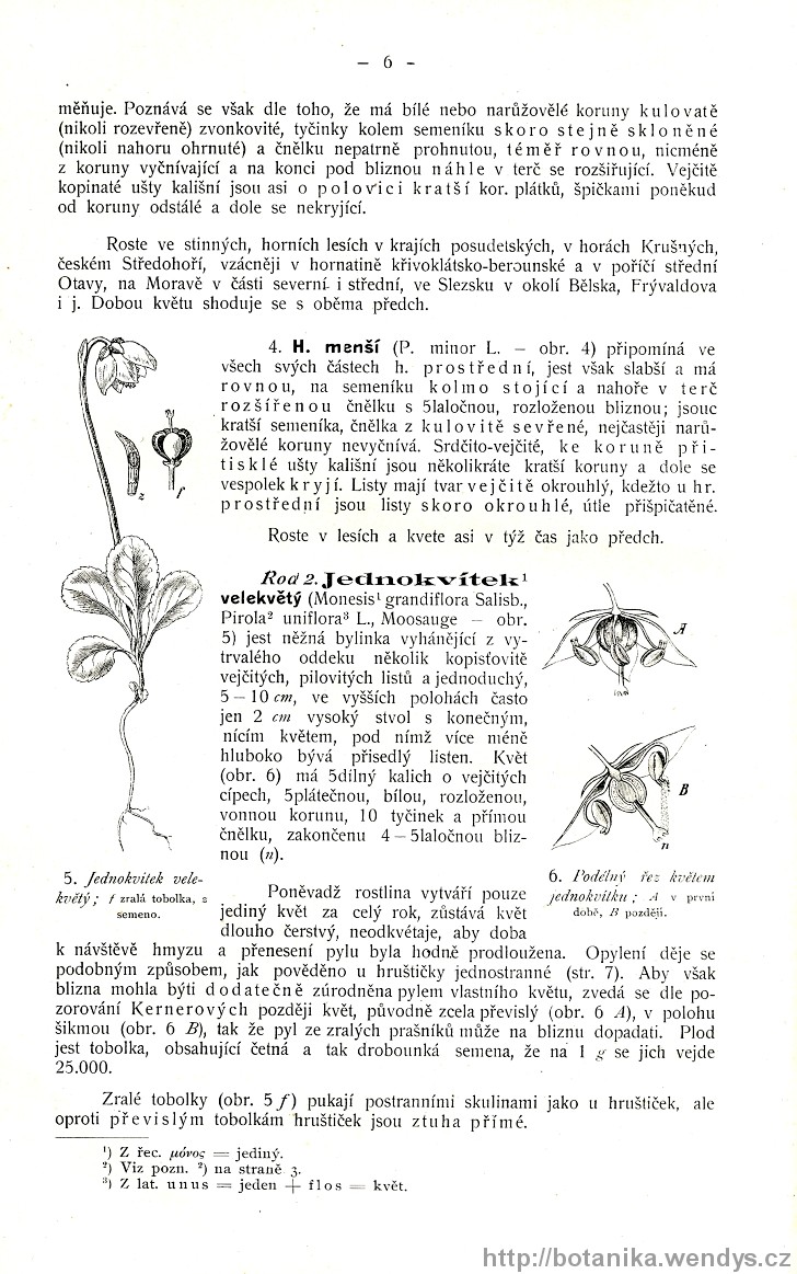 Názorná květena zemí koruny české, svazek 3, strana 6