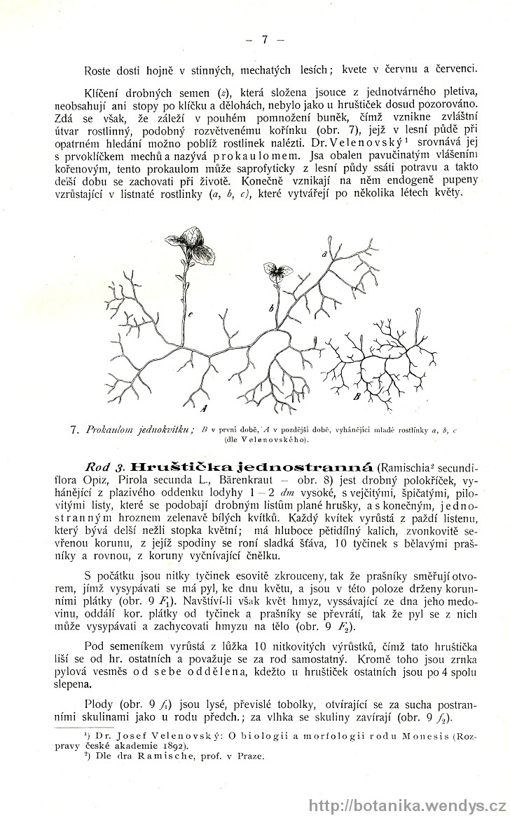 Názorná květena zemí koruny české, svazek 3, strana 7