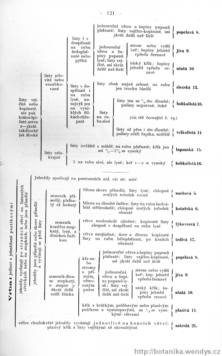 Názorná květena zemí koruny české, svazek 4, strana 121