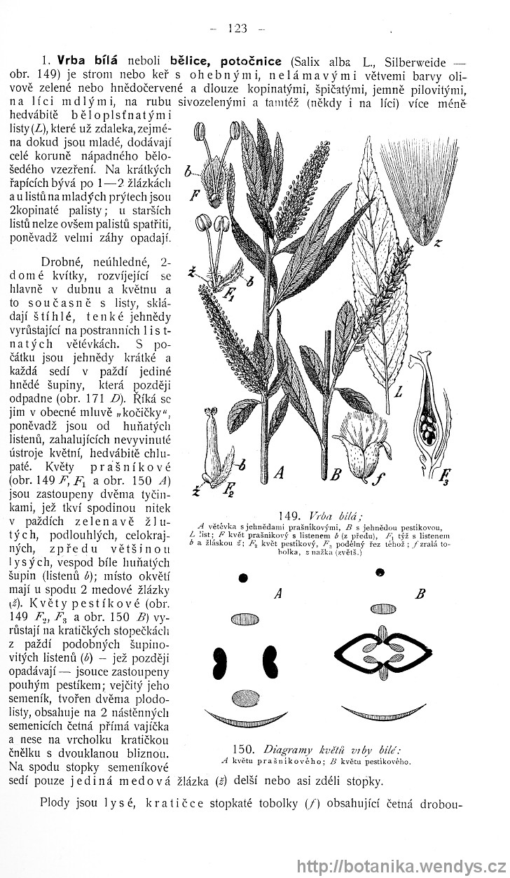 Názorná květena zemí koruny české, svazek 4, strana 123