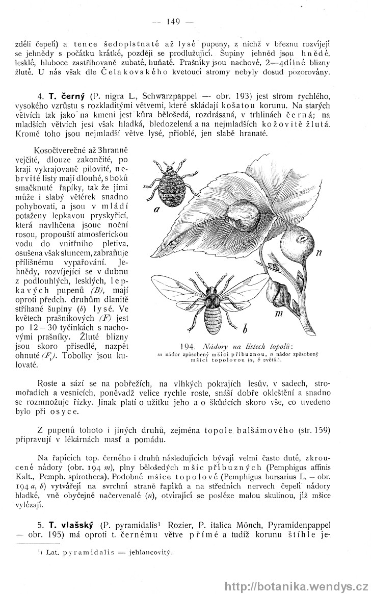 Názorná květena zemí koruny české, svazek 4, strana 149