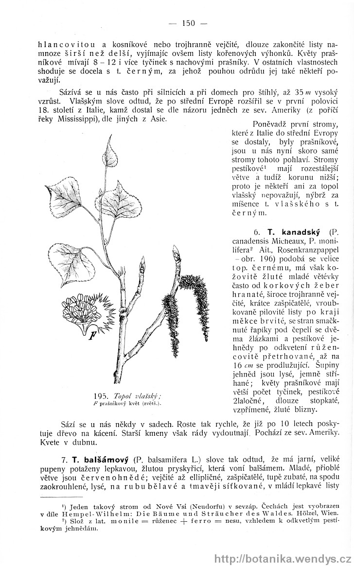 Názorná květena zemí koruny české, svazek 4, strana 150