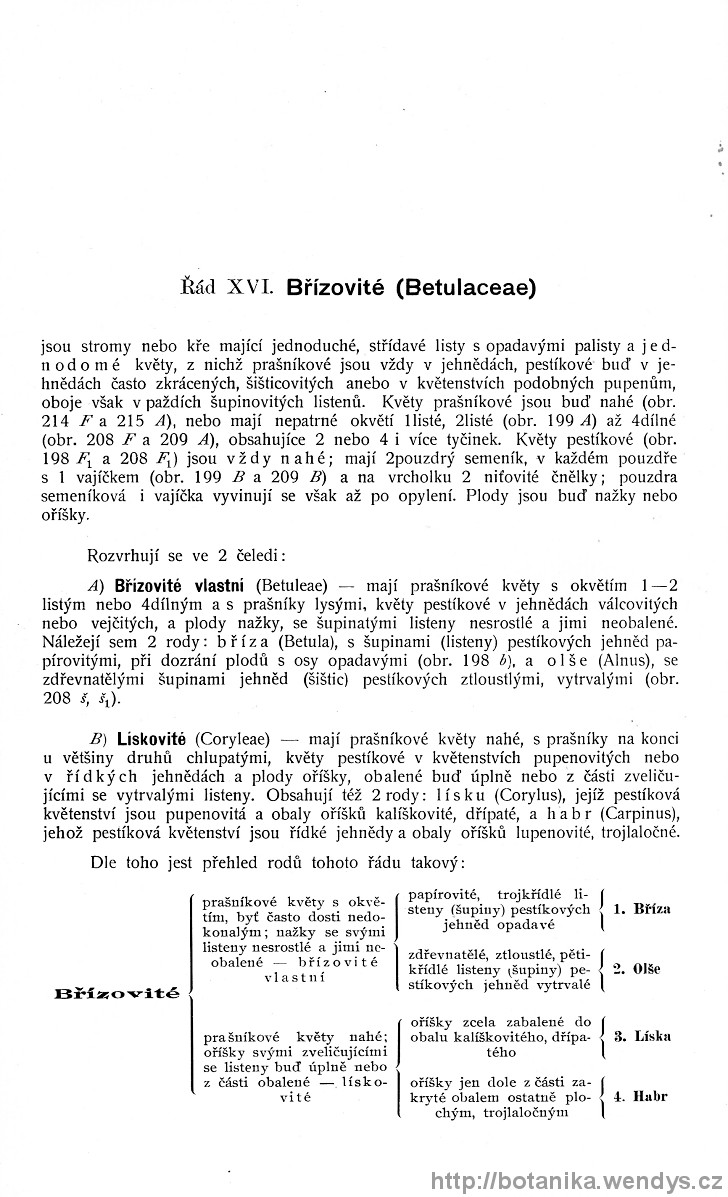 Názorná květena zemí koruny české, svazek 4, strana 152