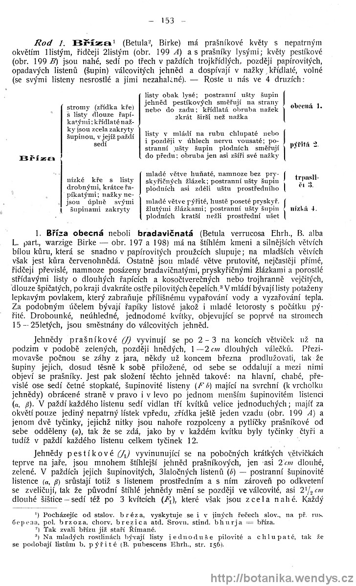 Názorná květena zemí koruny české, svazek 4, strana 153