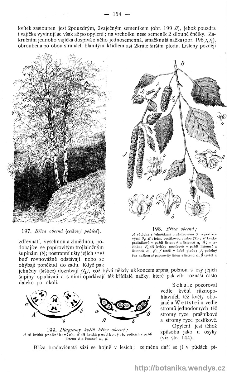 Názorná květena zemí koruny české, svazek 4, strana 154