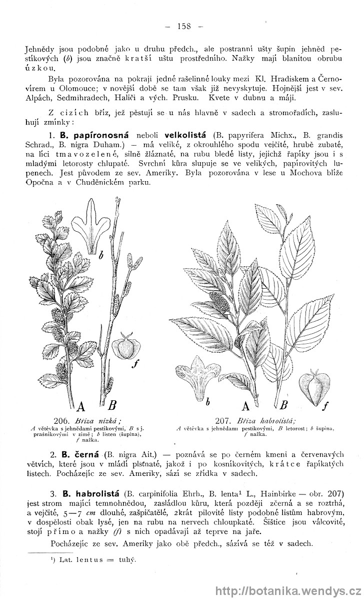 Názorná květena zemí koruny české, svazek 4, strana 158