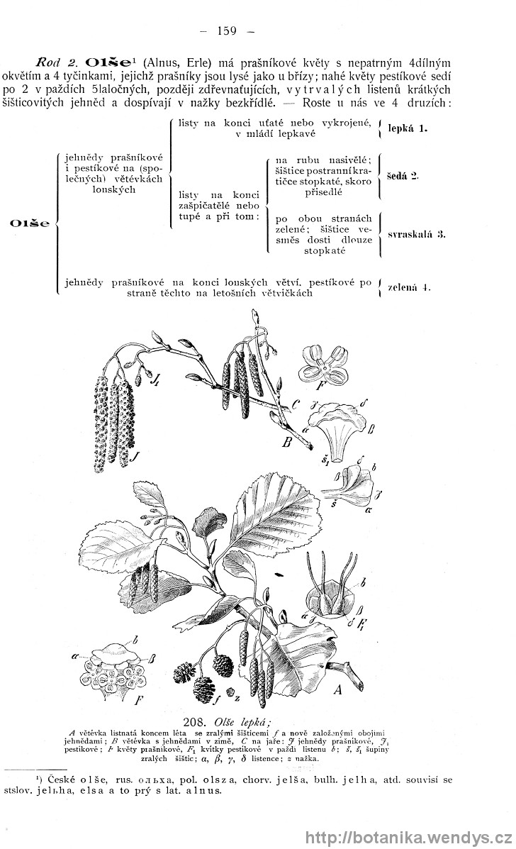 Názorná květena zemí koruny české, svazek 4, strana 159