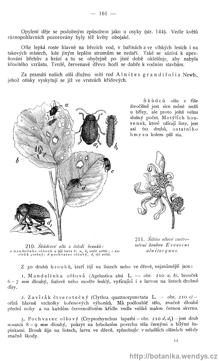 Názorná květena zemí koruny české, svazek 4, strana 161