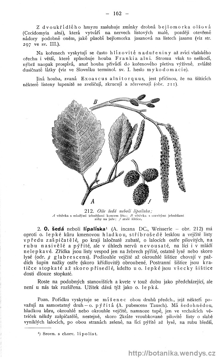 Názorná květena zemí koruny české, svazek 4, strana 162
