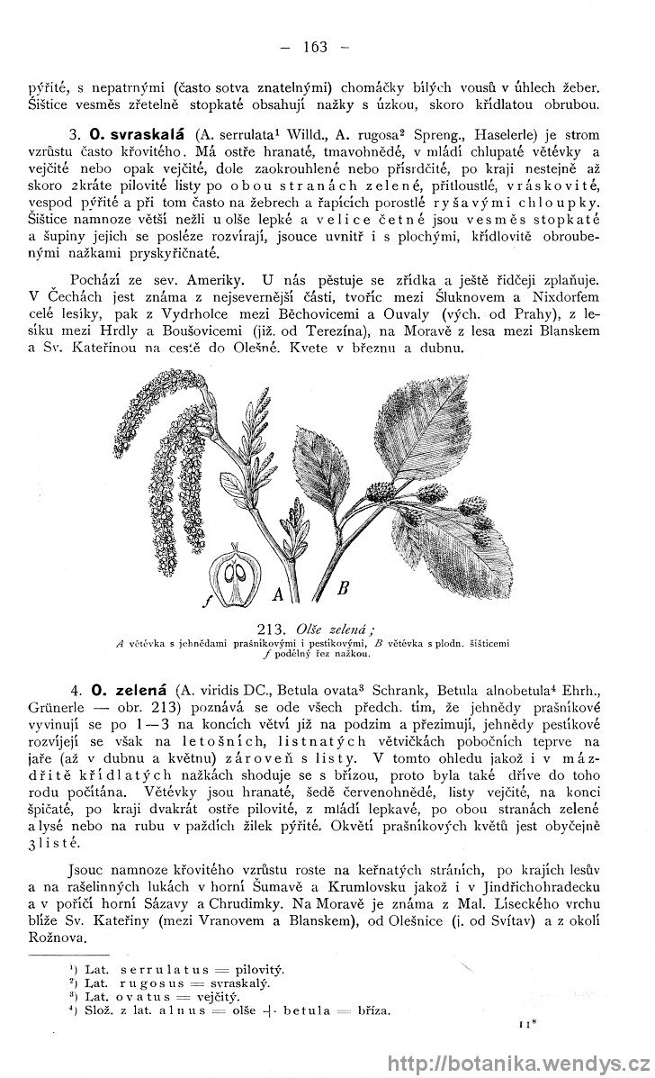 Názorná květena zemí koruny české, svazek 4, strana 163