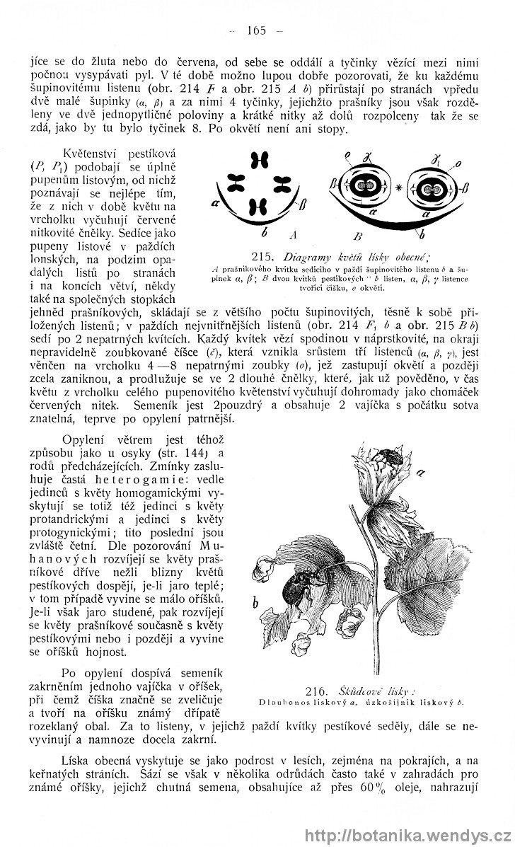 Názorná květena zemí koruny české, svazek 4, strana 165