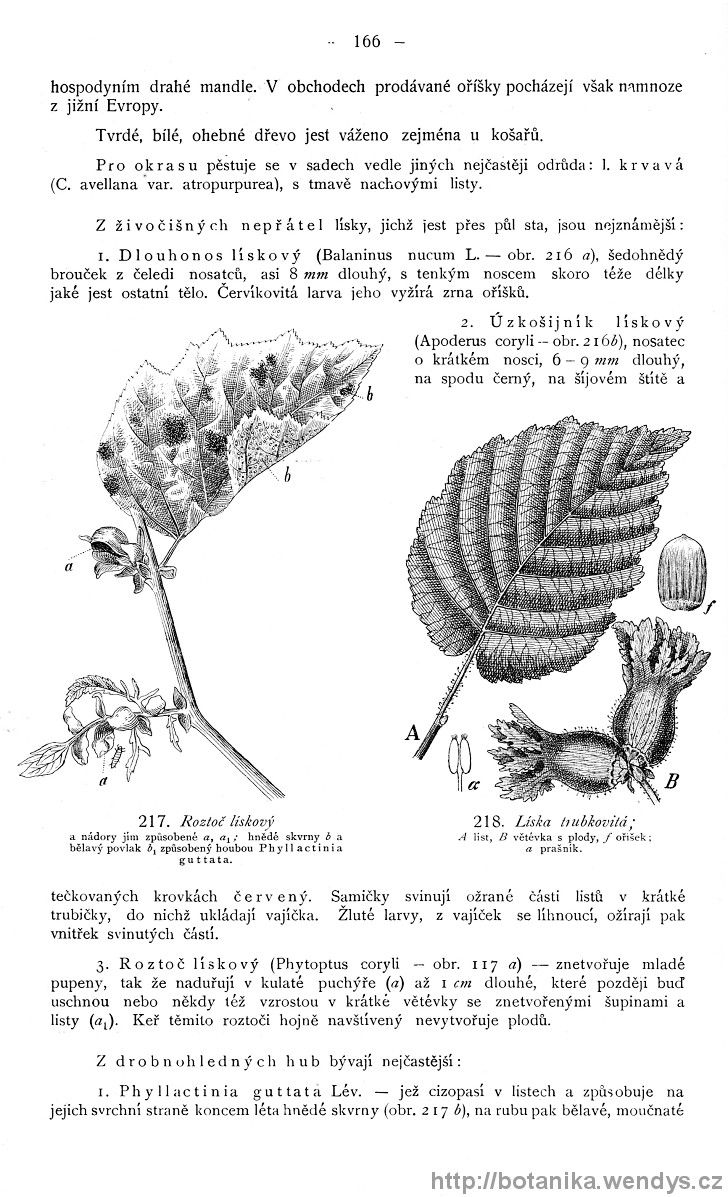 Názorná květena zemí koruny české, svazek 4, strana 166