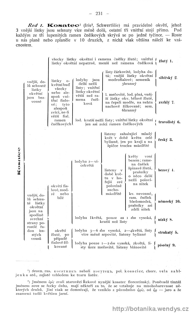 Názorná květena zemí koruny české, svazek 4, strana 231