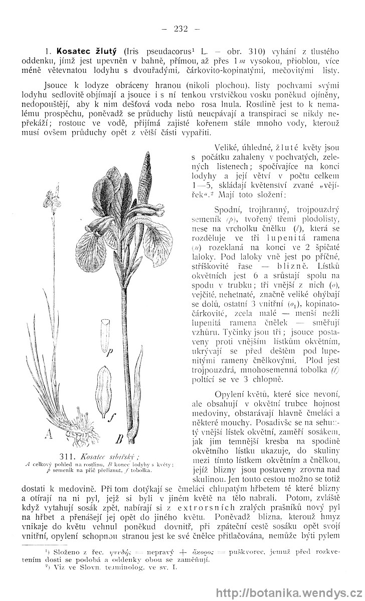 Názorná květena zemí koruny české, svazek 4, strana 232