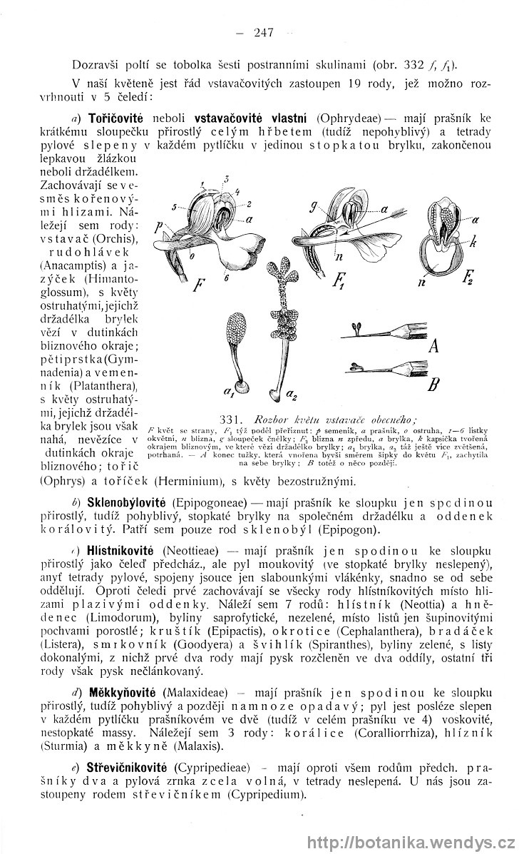 Názorná květena zemí koruny české, svazek 4, strana 247