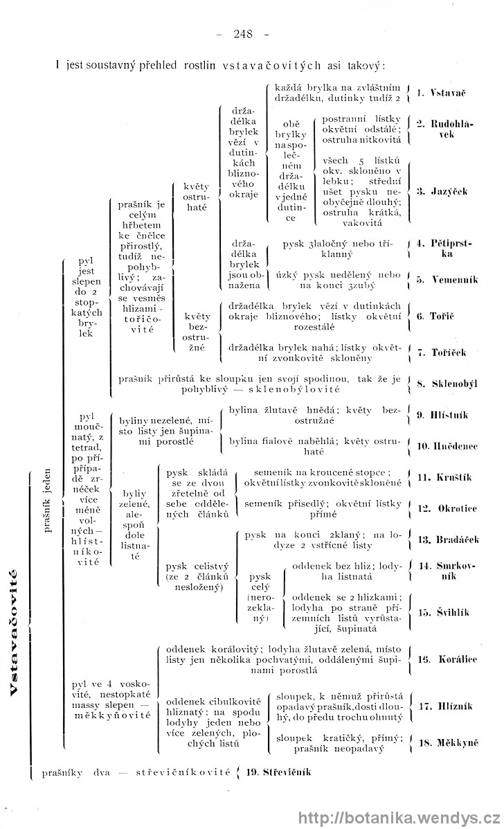 Názorná květena zemí koruny české, svazek 4, strana 248