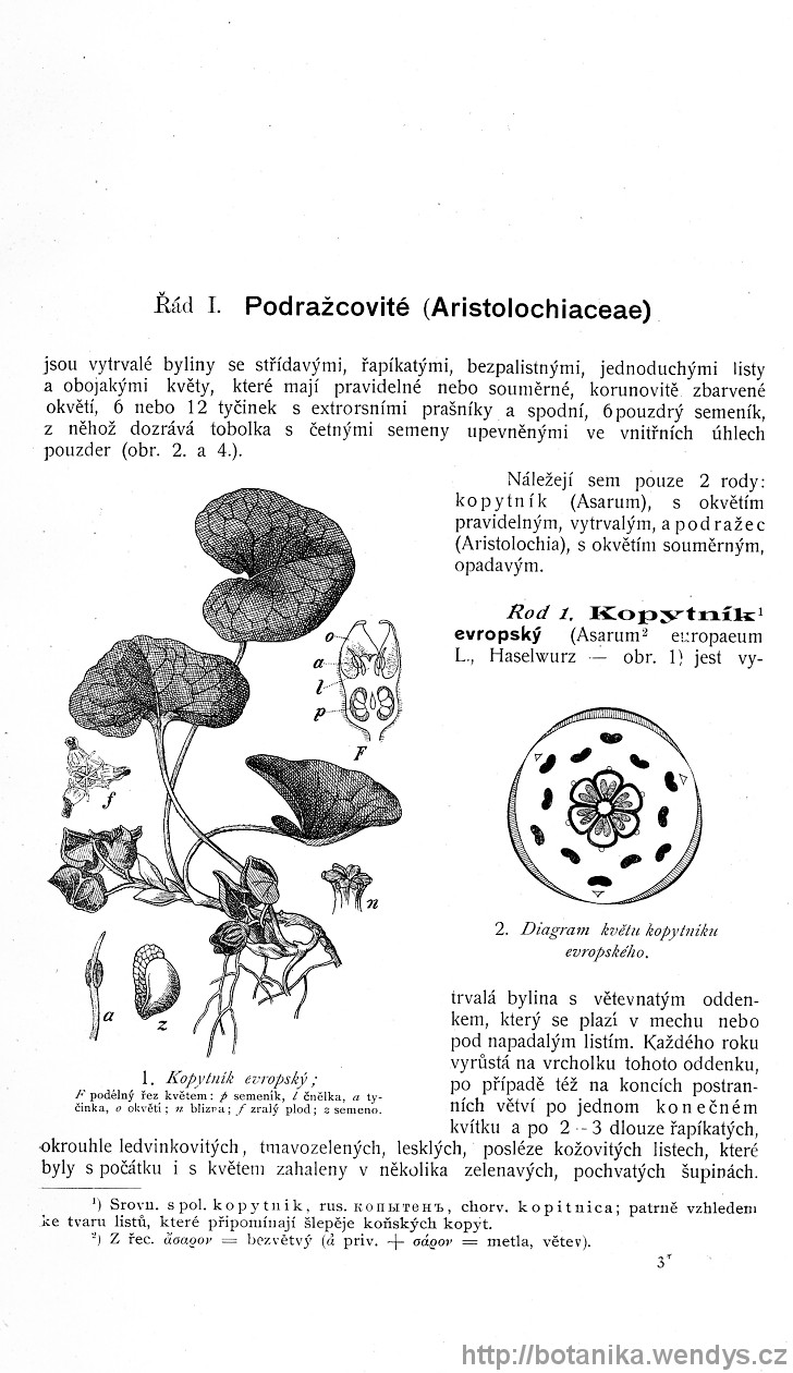 Názorná květena zemí koruny české, svazek 4, strana 3
