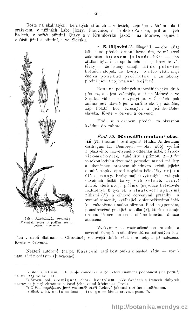 Názorná květena zemí koruny české, svazek 4, strana 364
