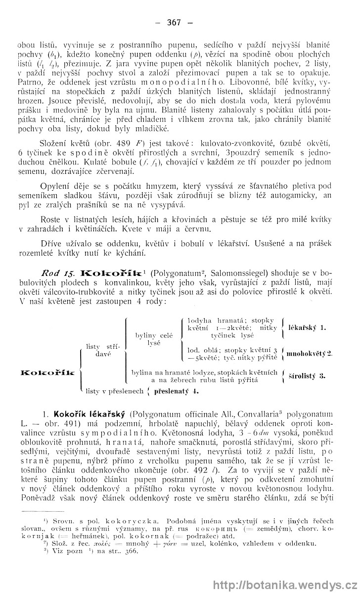 Názorná květena zemí koruny české, svazek 4, strana 367