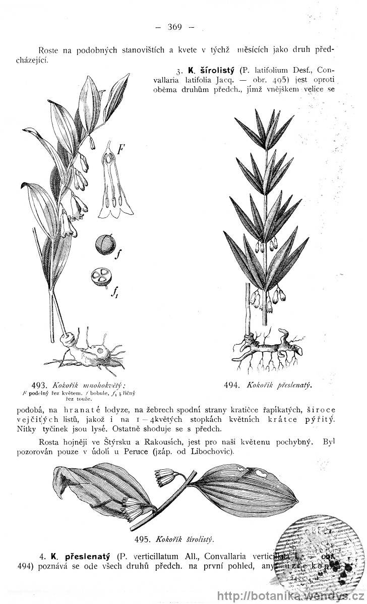 Názorná květena zemí koruny české, svazek 4, strana 369