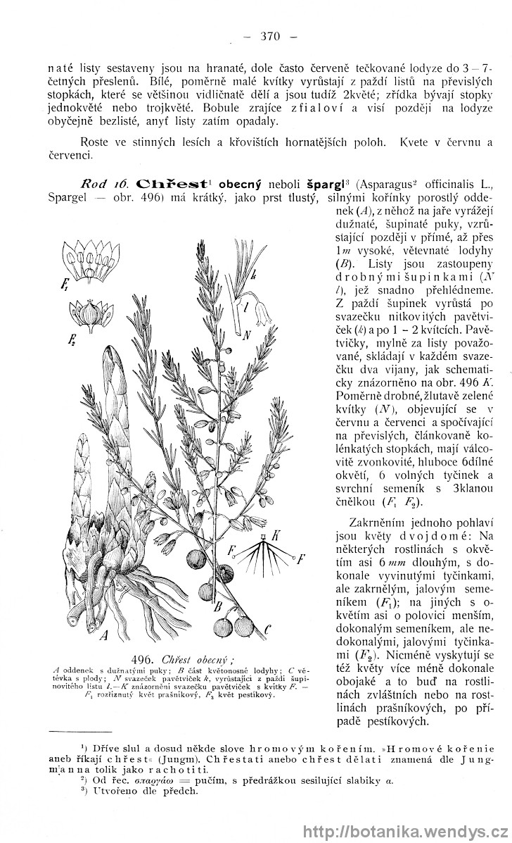Názorná květena zemí koruny české, svazek 4, strana 370