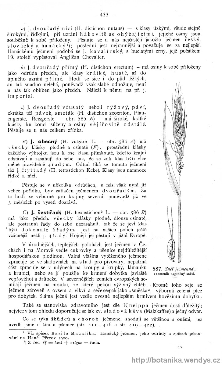 Názorná květena zemí koruny české, svazek 4, strana 433