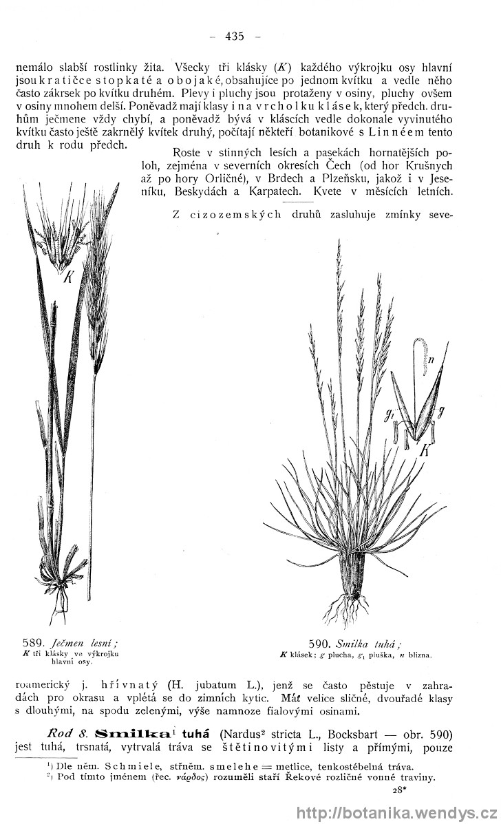 Názorná květena zemí koruny české, svazek 4, strana 435