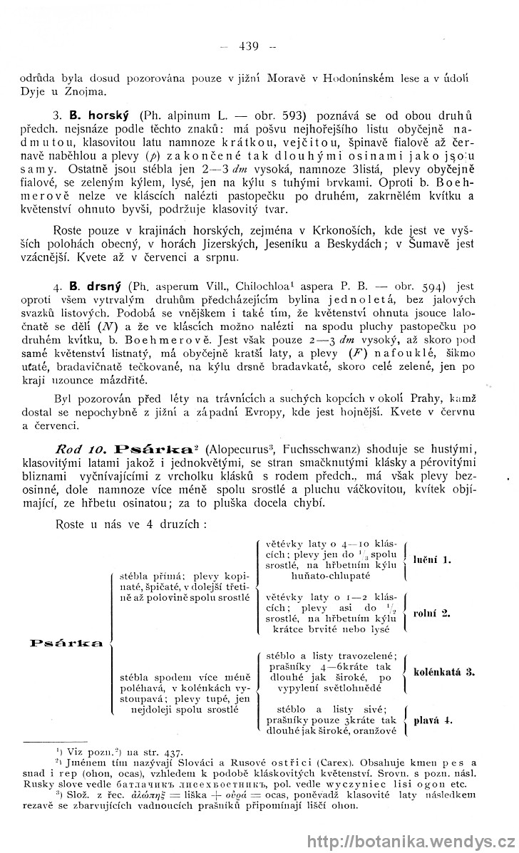 Názorná květena zemí koruny české, svazek 4, strana 439