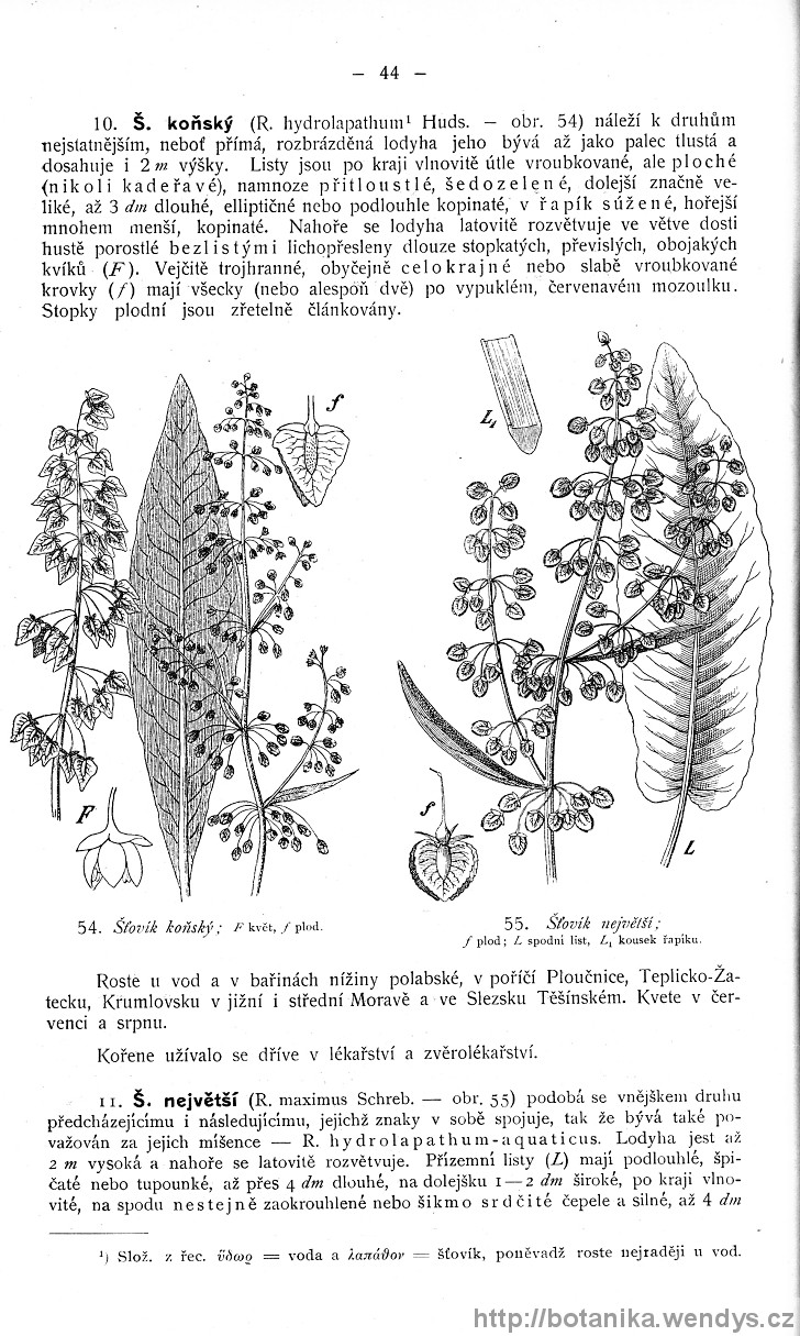 Názorná květena zemí koruny české, svazek 4, strana 44