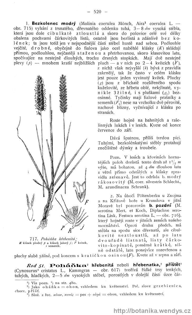 Názorná květena zemí koruny české, svazek 4, strana 520
