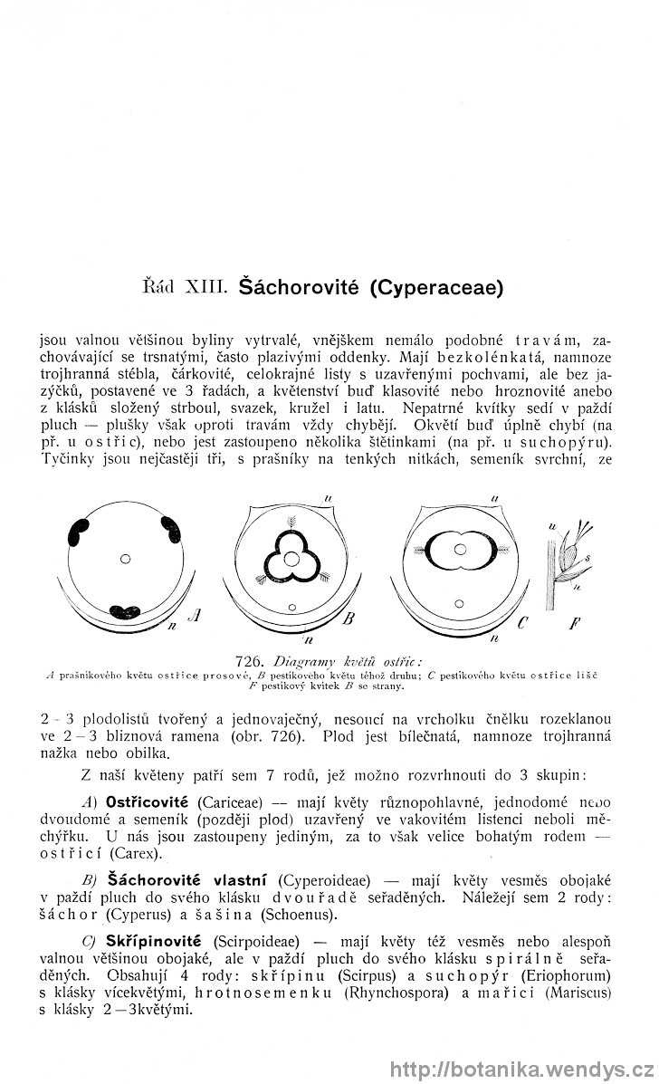 Názorná květena zemí koruny české, svazek 4, strana 527