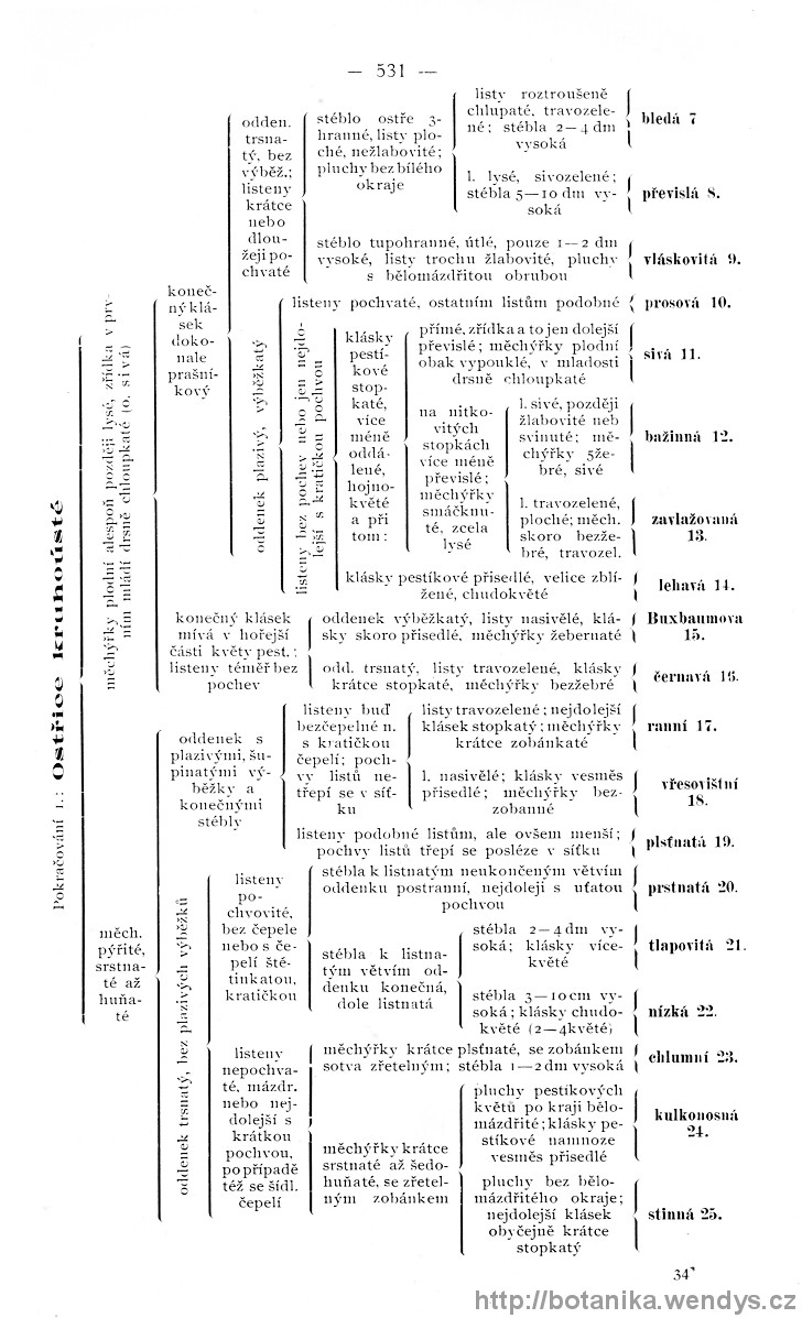 Názorná květena zemí koruny české, svazek 4, strana 531