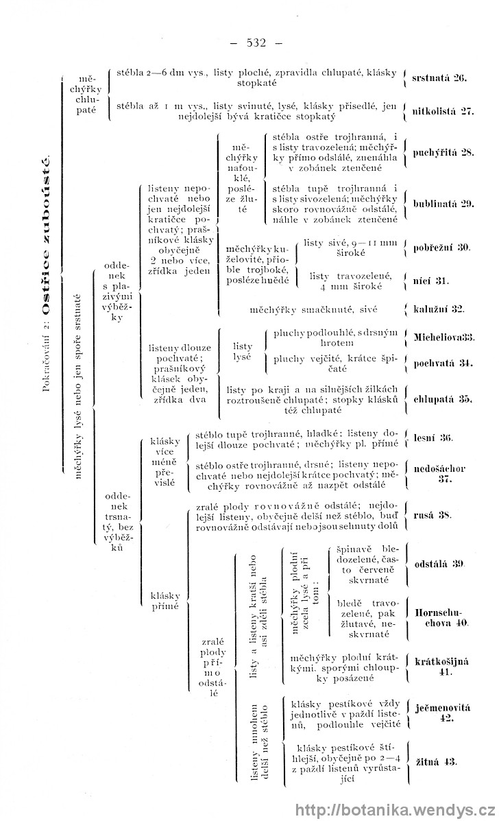 Názorná květena zemí koruny české, svazek 4, strana 532
