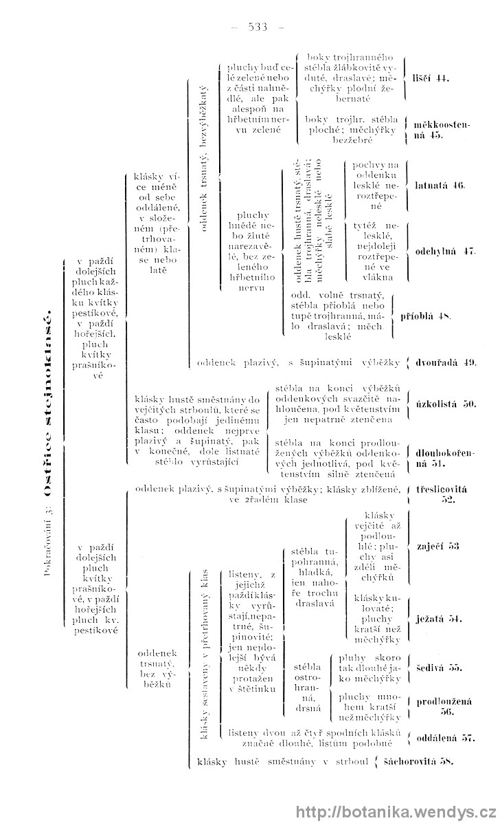 Názorná květena zemí koruny české, svazek 4, strana 533
