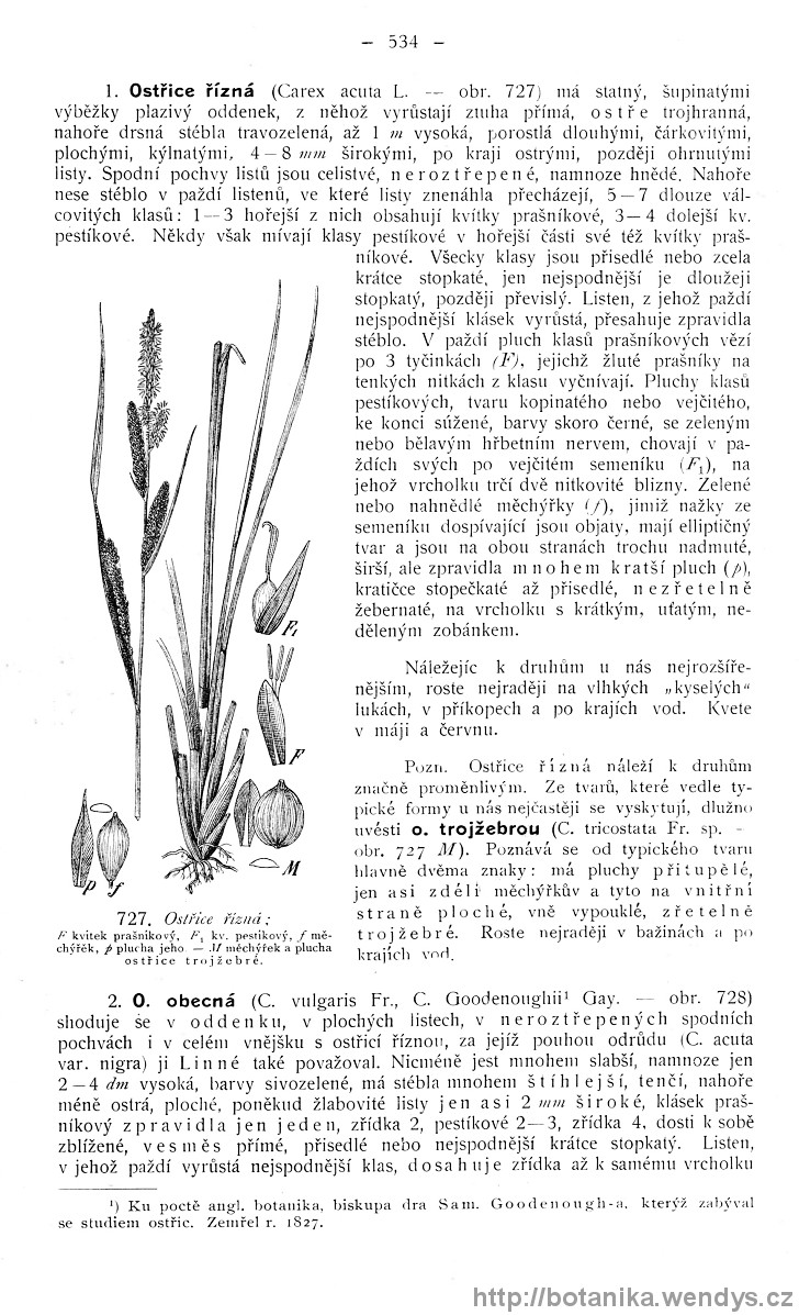 Názorná květena zemí koruny české, svazek 4, strana 534