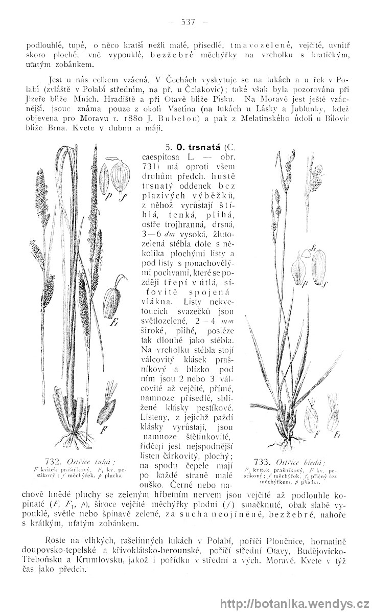 Názorná květena zemí koruny české, svazek 4, strana 537