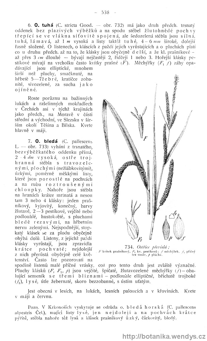 Názorná květena zemí koruny české, svazek 4, strana 538
