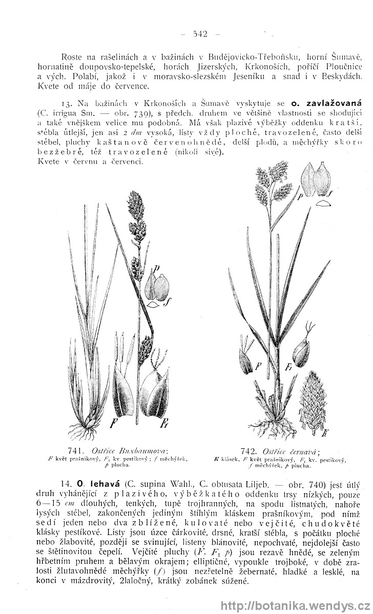 Názorná květena zemí koruny české, svazek 4, strana 542