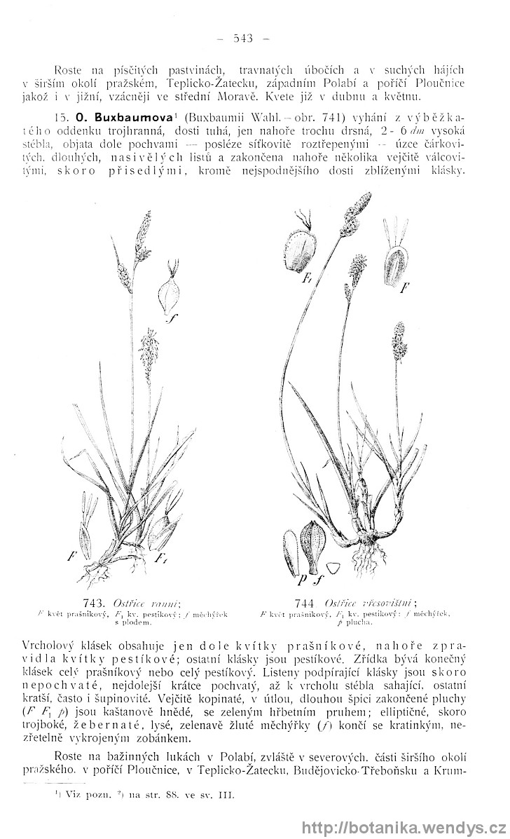 Názorná květena zemí koruny české, svazek 4, strana 543