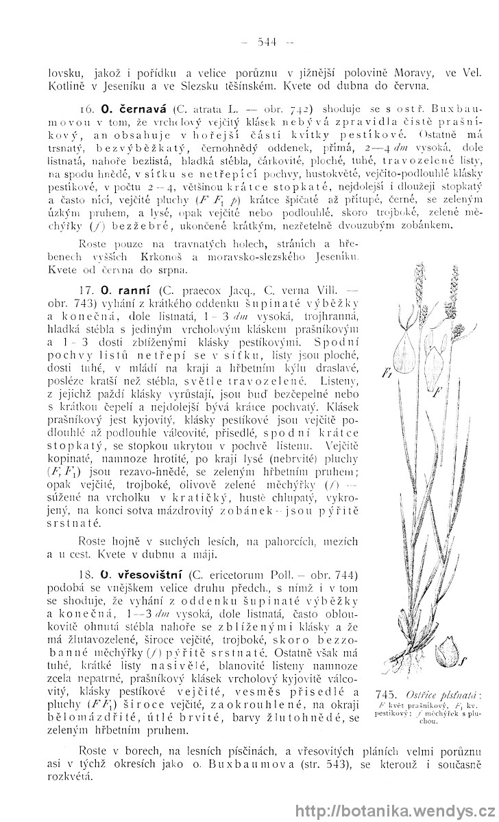 Názorná květena zemí koruny české, svazek 4, strana 544