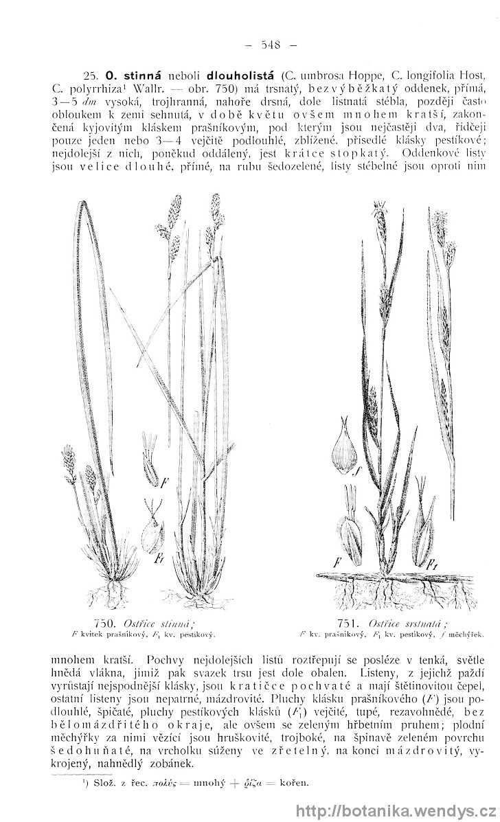 Názorná květena zemí koruny české, svazek 4, strana 548
