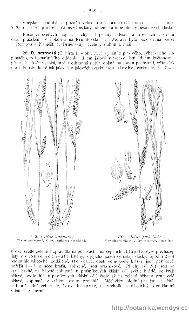 Názorná květena zemí koruny české, svazek 4, strana 549